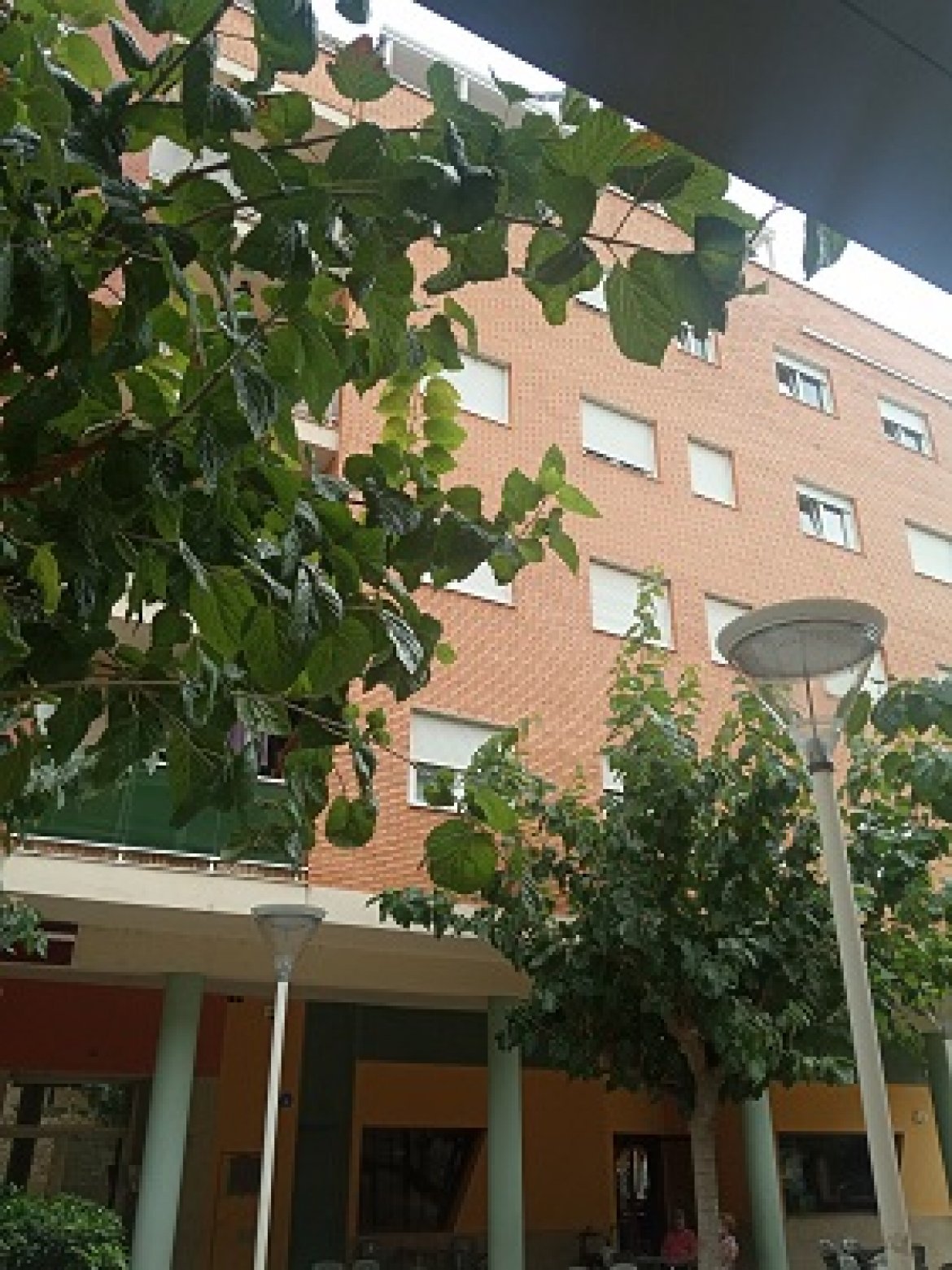 BENICARLO-  ZONA  AUDITORIO