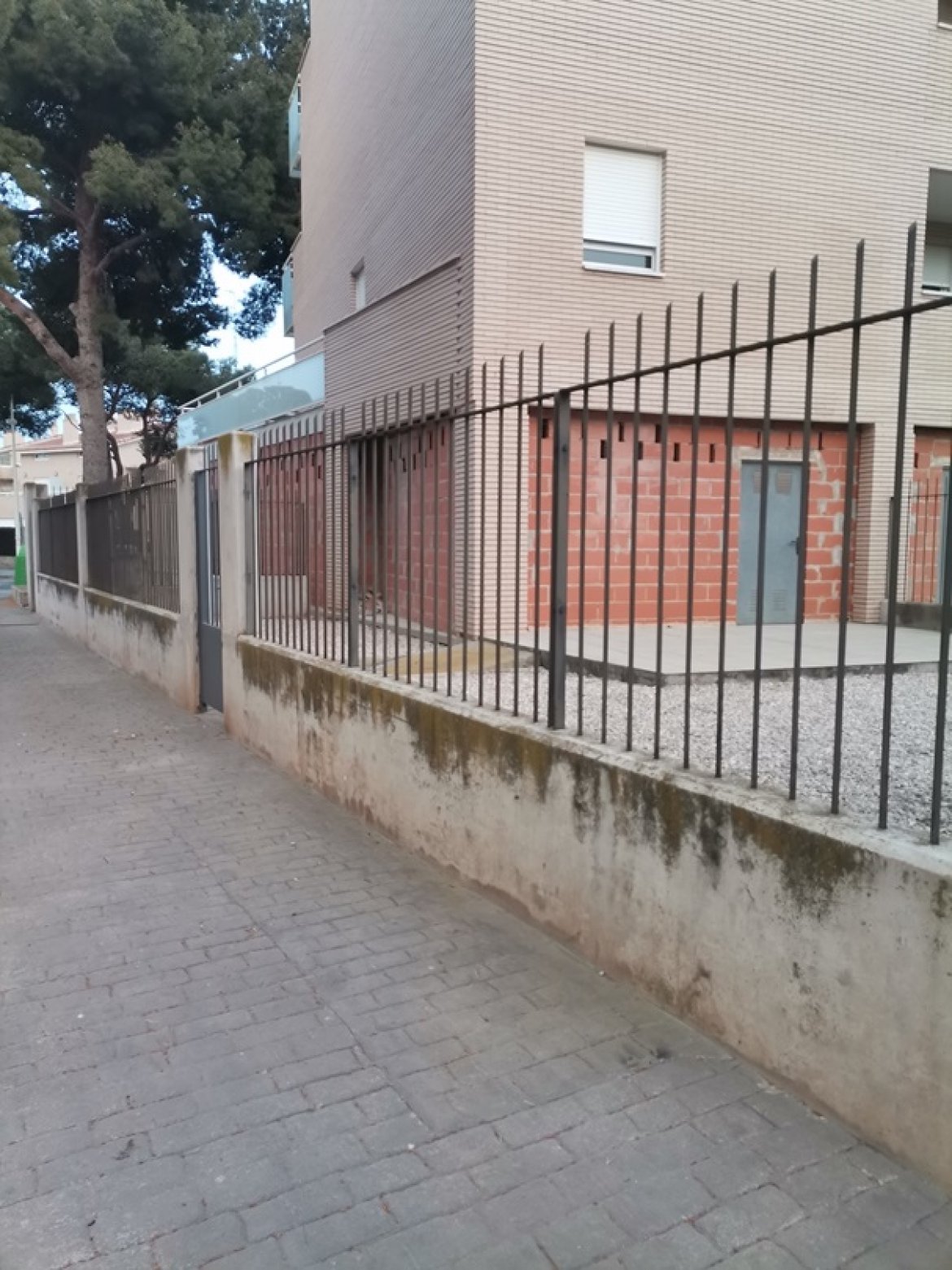 BENICARLO- AVDA. PAPA LUNA local