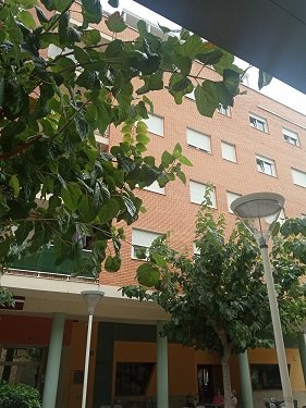 BENICARLO-  ZONA  AUDITORIO