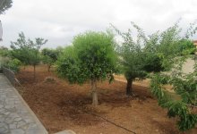 BENICARLO CHALET PARTIDA SANADORLI